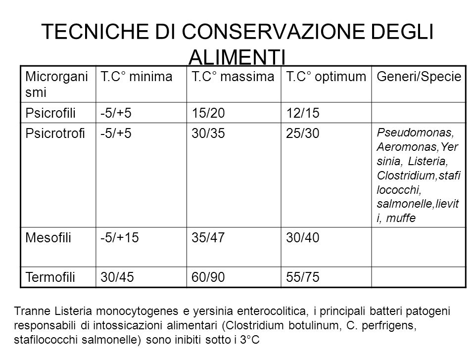 Microrganismi psicrotrofi