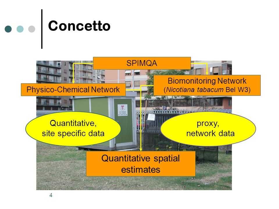 4 Concetto Quantitative spatial estimates SPIMQA Physico-Chemical Network Quantitative, site specific data Biomonitoring Network (Nicotiana tabacum Bel W3) proxy, network data