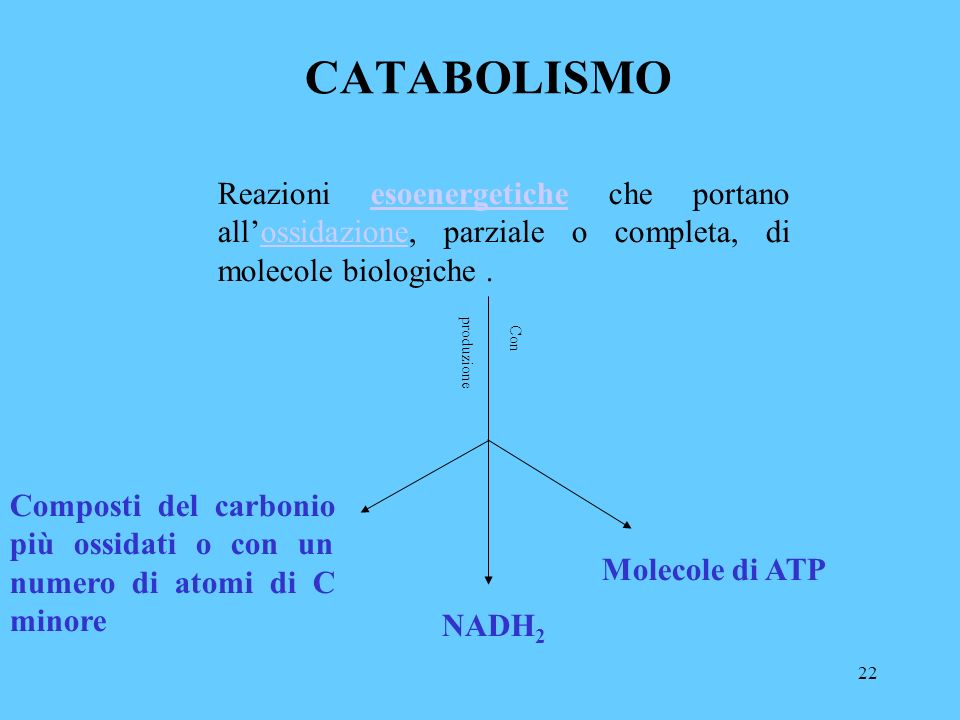 22 CATABOLISMO Reazioni esoenergetiche che portano allossidazione, parziale o completa, di molecole biologiche.esoenergeticheossidazione produzione Con Composti del carbonio più ossidati o con un numero di atomi di C minore Molecole di ATP NADH 2