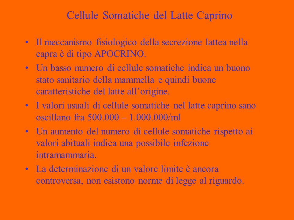 Cellule Somatiche del Latte Caprino Il meccanismo fisiologico della secrezione lattea nella capra è di tipo APOCRINO.