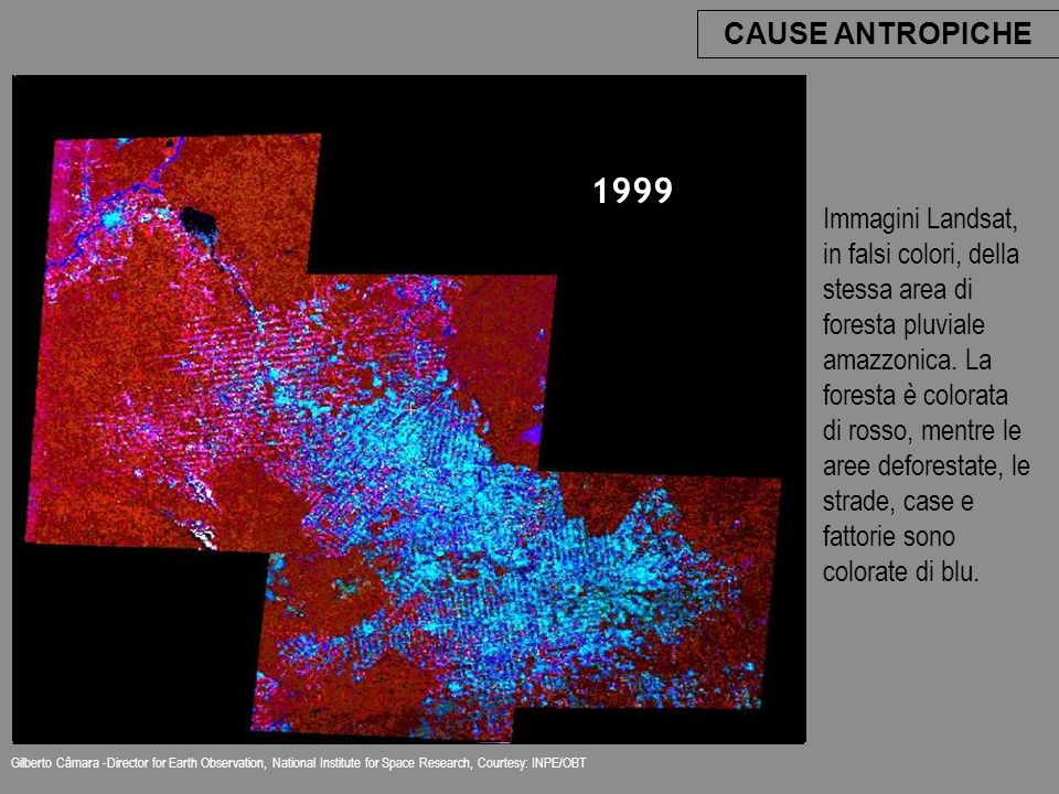 Immagini Landsat, in falsi colori, della stessa area di foresta pluviale amazzonica.