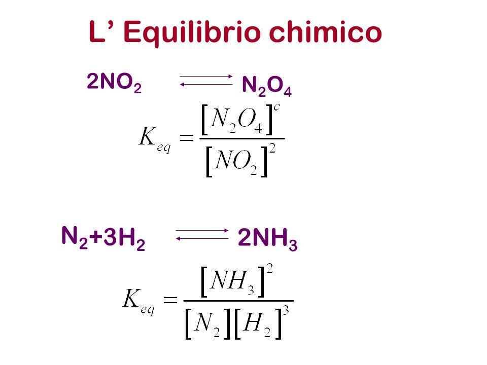 L Equilibrio chimico 2NO 2 N2O4N2O4 N2N2 2NH 3 +3H 2