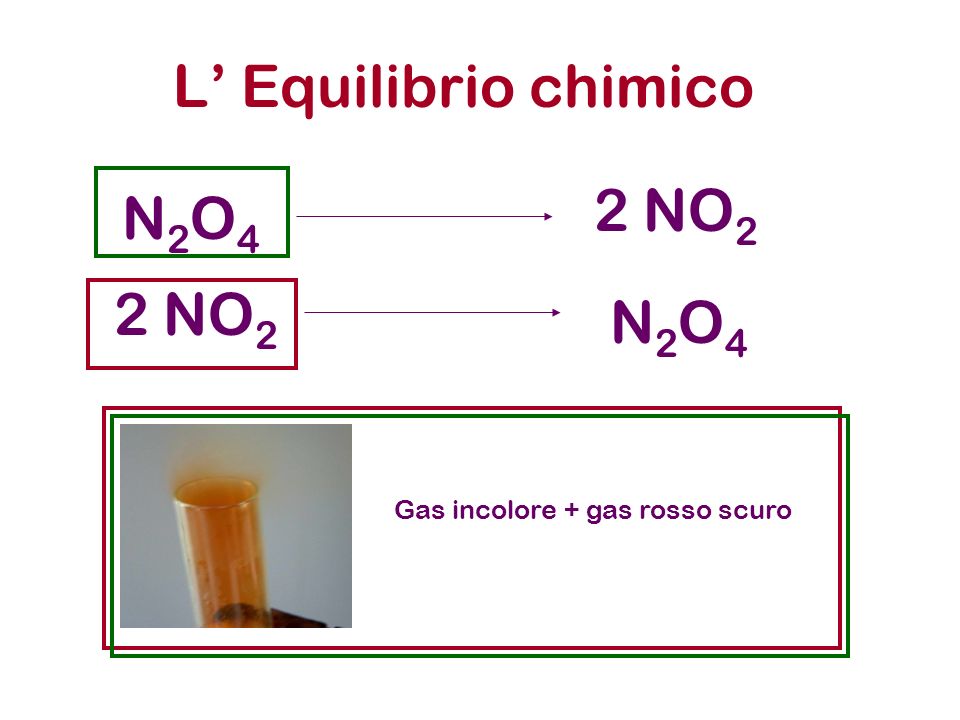 L Equilibrio chimico N2O4N2O4 2 NO 2 N2O4N2O4 Gas incolore + gas rosso scuro