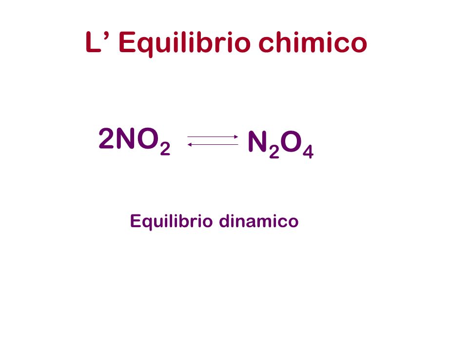 L Equilibrio chimico 2NO 2 N2O4N2O4 Equilibrio dinamico
