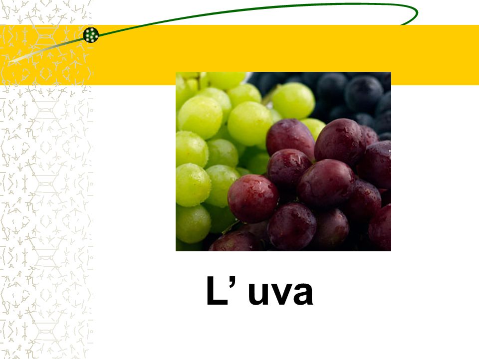 L uva