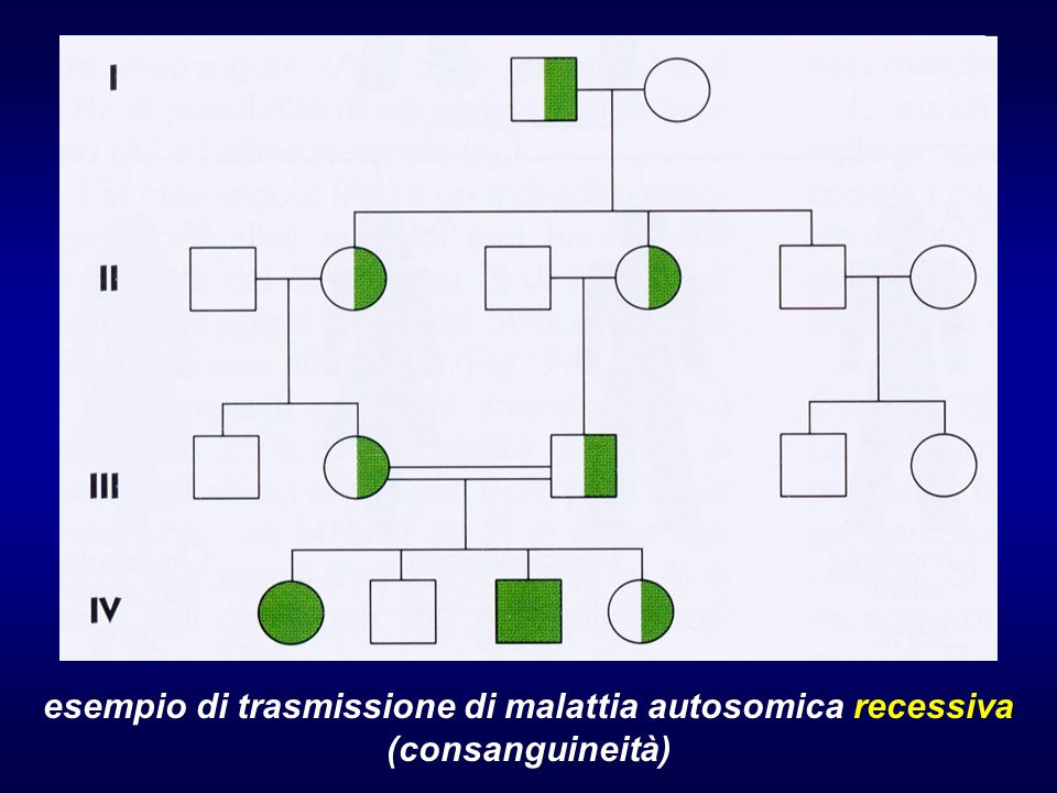 Epatite C, la trasmissione sessuale resta rara - Epatite C HCV