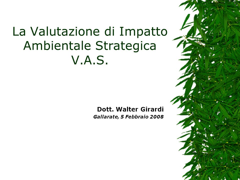 La Valutazione di Impatto Ambientale Strategica V.A.S.