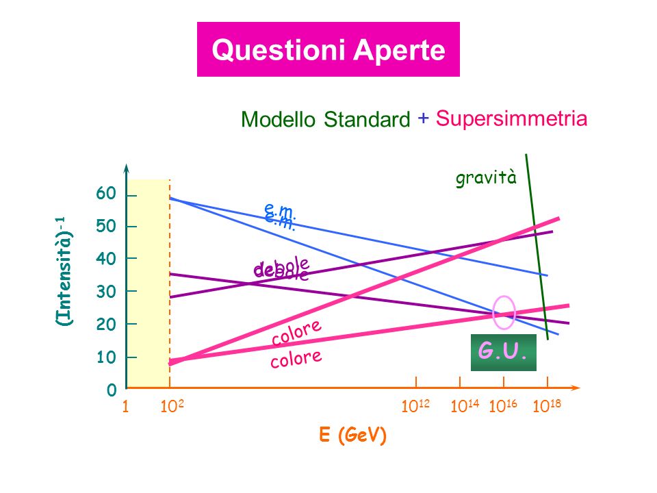 Modello Standard + Supersimmetria E (GeV) (Intensità) e.m.