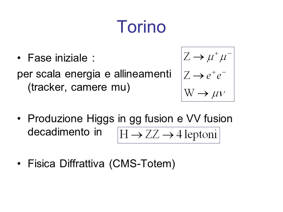 Torino Fase iniziale : per scala energia e allineamenti (tracker, camere mu) Produzione Higgs in gg fusion e VV fusion decadimento in Fisica Diffrattiva (CMS-Totem)