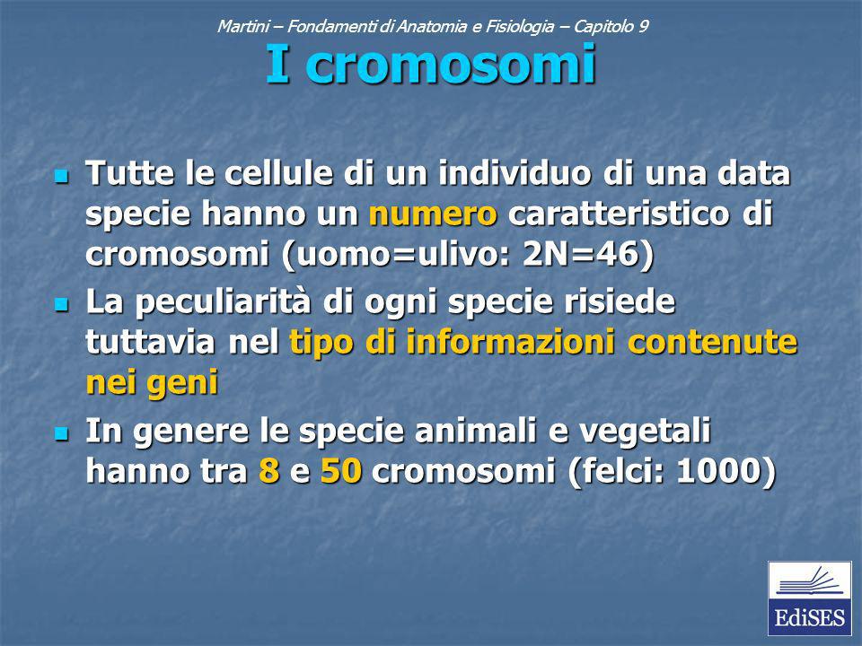 I cromosomi Tutte le cellule di un individuo di una data specie hanno un numero caratteristico di cromosomi (uomo=ulivo: 2N=46) Tutte le cellule di un individuo di una data specie hanno un numero caratteristico di cromosomi (uomo=ulivo: 2N=46) La peculiarità di ogni specie risiede tuttavia nel tipo di informazioni contenute nei geni La peculiarità di ogni specie risiede tuttavia nel tipo di informazioni contenute nei geni In genere le specie animali e vegetali hanno tra 8 e 50 cromosomi (felci: 1000) In genere le specie animali e vegetali hanno tra 8 e 50 cromosomi (felci: 1000)