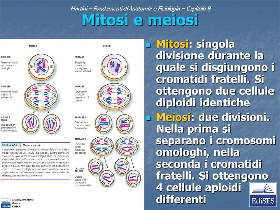 Martini – Fondamenti di Anatomia e Fisiologia – Capitolo 9 Mitosi e meiosi Mitosi: singola divisione durante la quale si disgiungono i cromatidi fratelli.