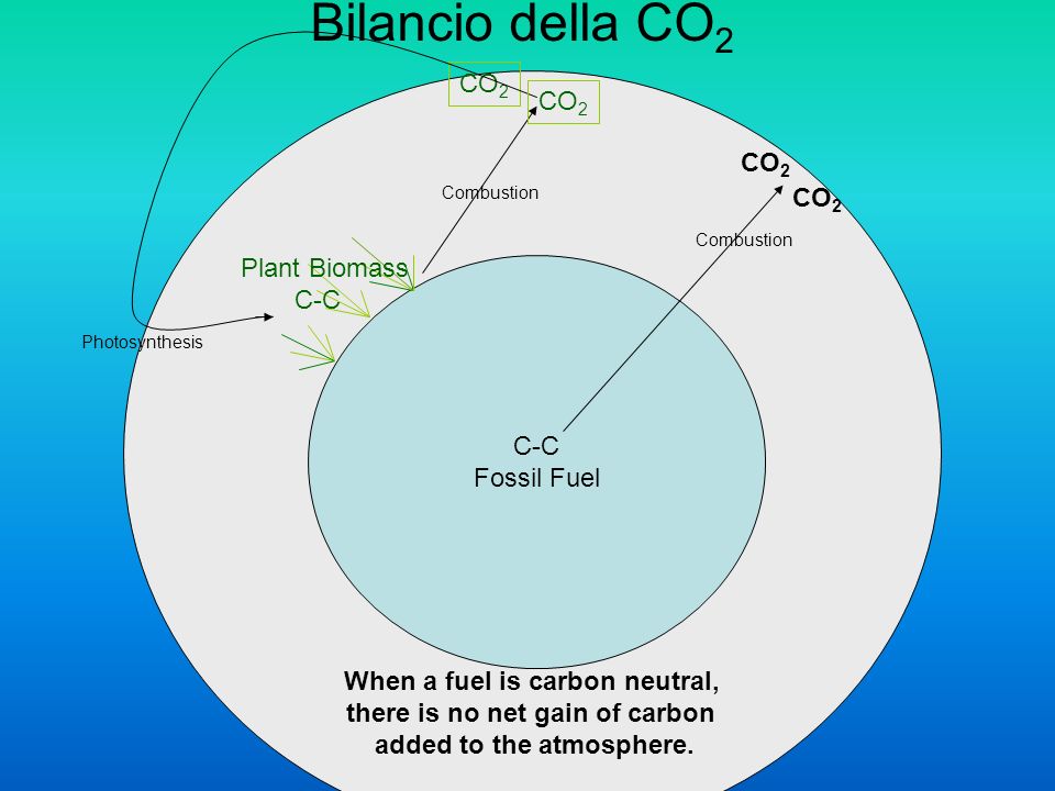 C-C Fossil Fuel CO 2 Photosynthesis Combustion CO 2 Plant Biomass C-C Combustion CO 2 When a fuel is carbon neutral, there is no net gain of carbon added to the atmosphere.