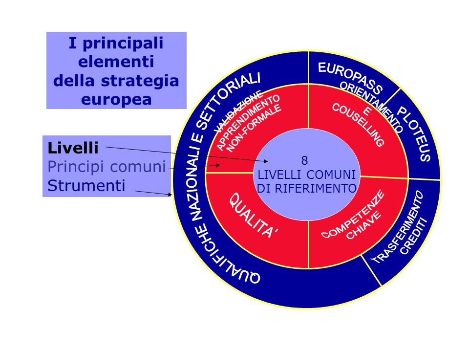 I principali elementi della strategia europea 8 LIVELLI COMUNI DI RIFERIMENTO Livelli Principi comuni Strumenti