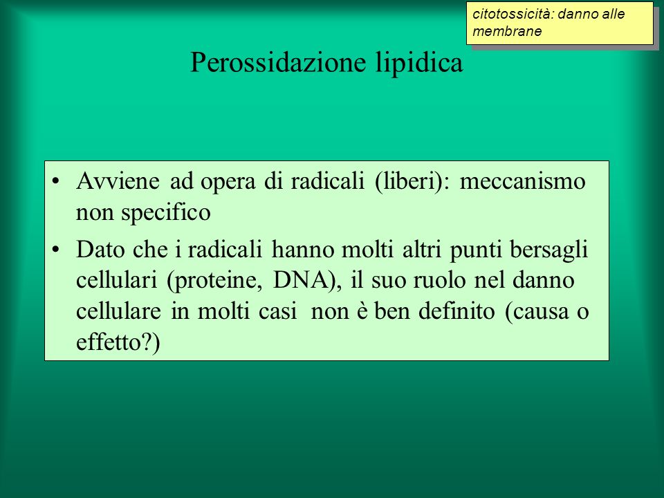 ARREDAMENTI PER CENTRI ESTETICI Gildesign Arredamenti