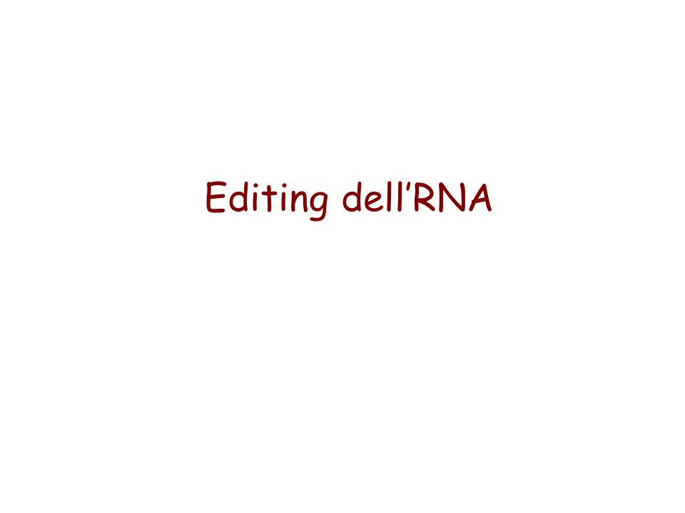 Editing dellRNA