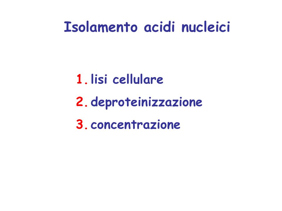 1.lisi cellulare 2.deproteinizzazione 3.concentrazione Isolamento acidi nucleici