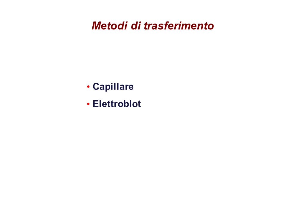 Metodi di trasferimento Capillare Elettroblot