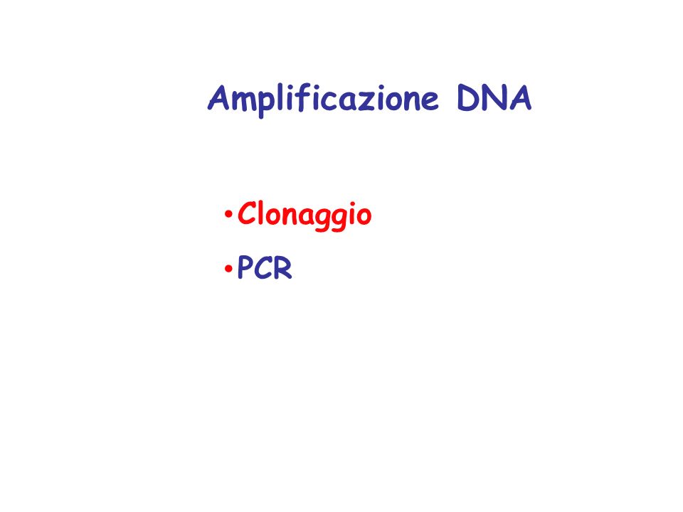 Clonaggio PCR Amplificazione DNA