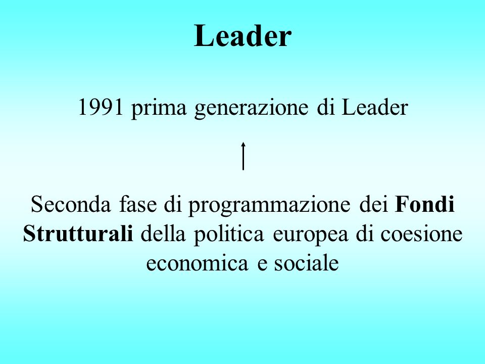 Leader 1991 prima generazione di Leader Seconda fase di programmazione dei Fondi Strutturali della politica europea di coesione economica e sociale