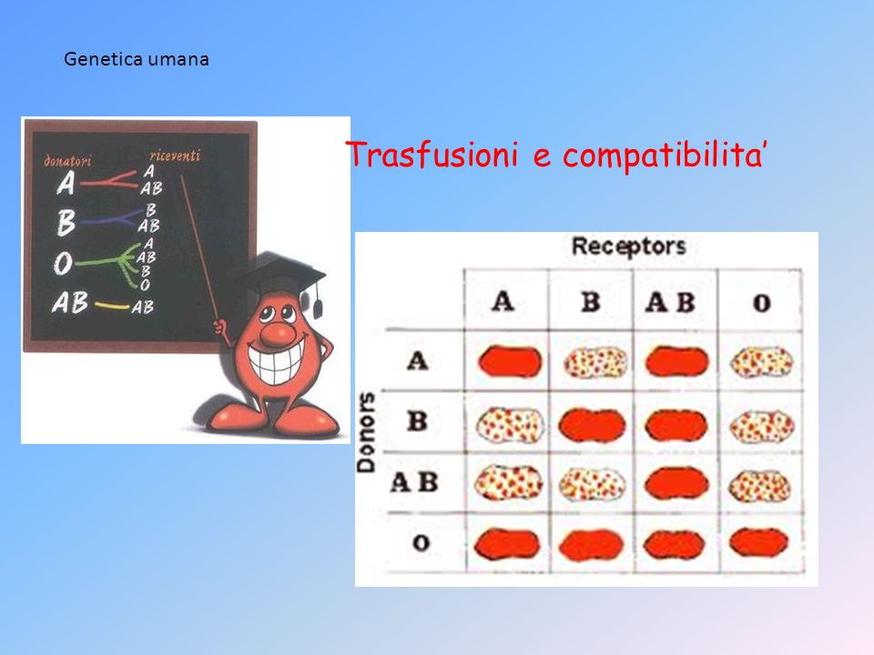 Trasmissione fattore rh