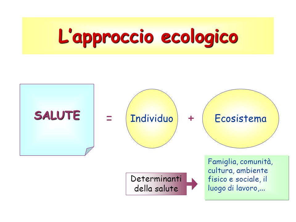 L’approccio ecologico SALUTE Individuo =+ Ecosistema Famiglia, comunità, cultura, ambiente fisico e sociale, il luogo di lavoro,...
