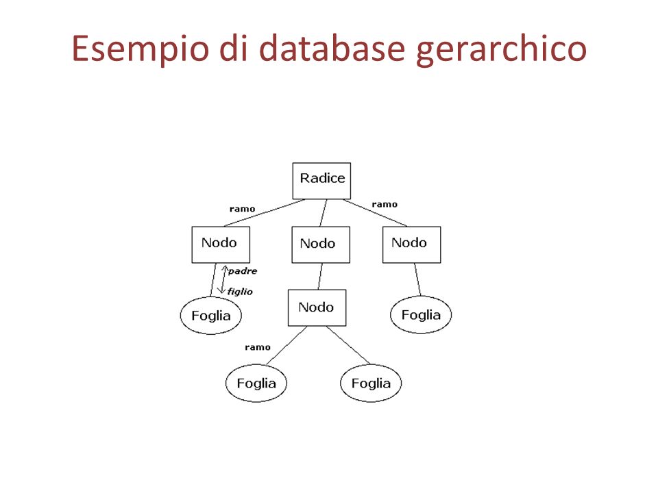Esempio di database gerarchico