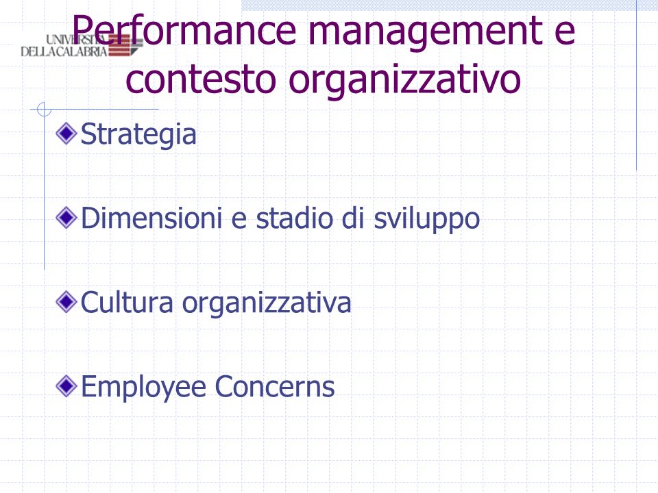 Performance management e contesto organizzativo Strategia Dimensioni e stadio di sviluppo Cultura organizzativa Employee Concerns