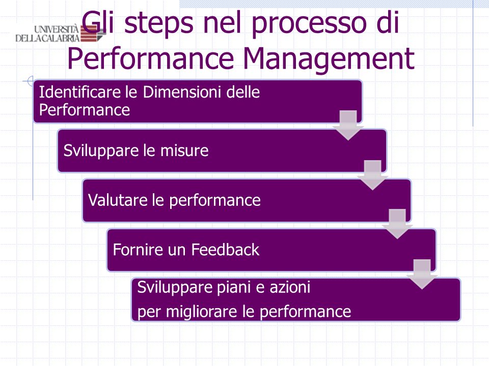 Gli steps nel processo di Performance Management Identificare le Dimensioni delle Performance Sviluppare le misureValutare le performanceFornire un Feedback Sviluppare piani e azioni per migliorare le performance