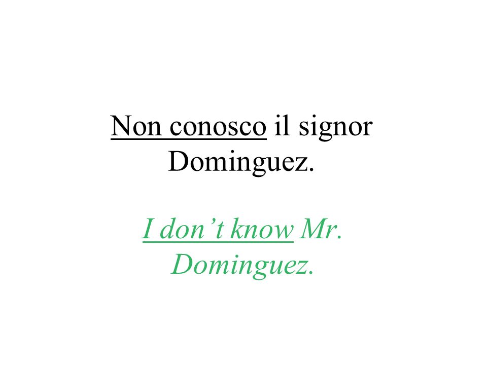 Non conosco il signor Dominguez. I dont know Mr. Dominguez.