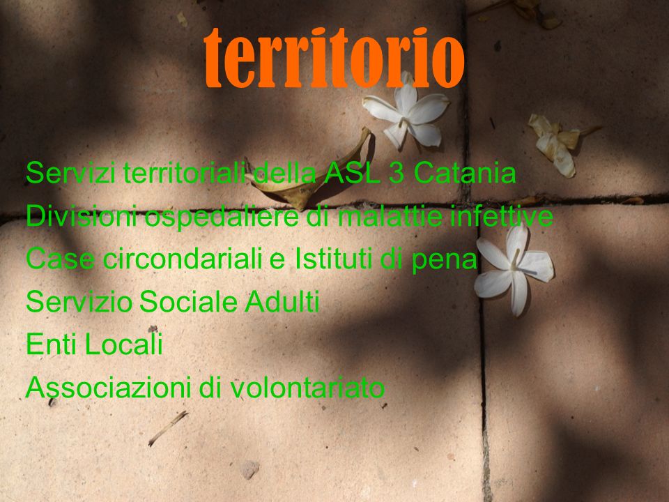 territorio Servizi territoriali della ASL 3 Catania Divisioni ospedaliere di malattie infettive Case circondariali e Istituti di pena Servizio Sociale Adulti Enti Locali Associazioni di volontariato