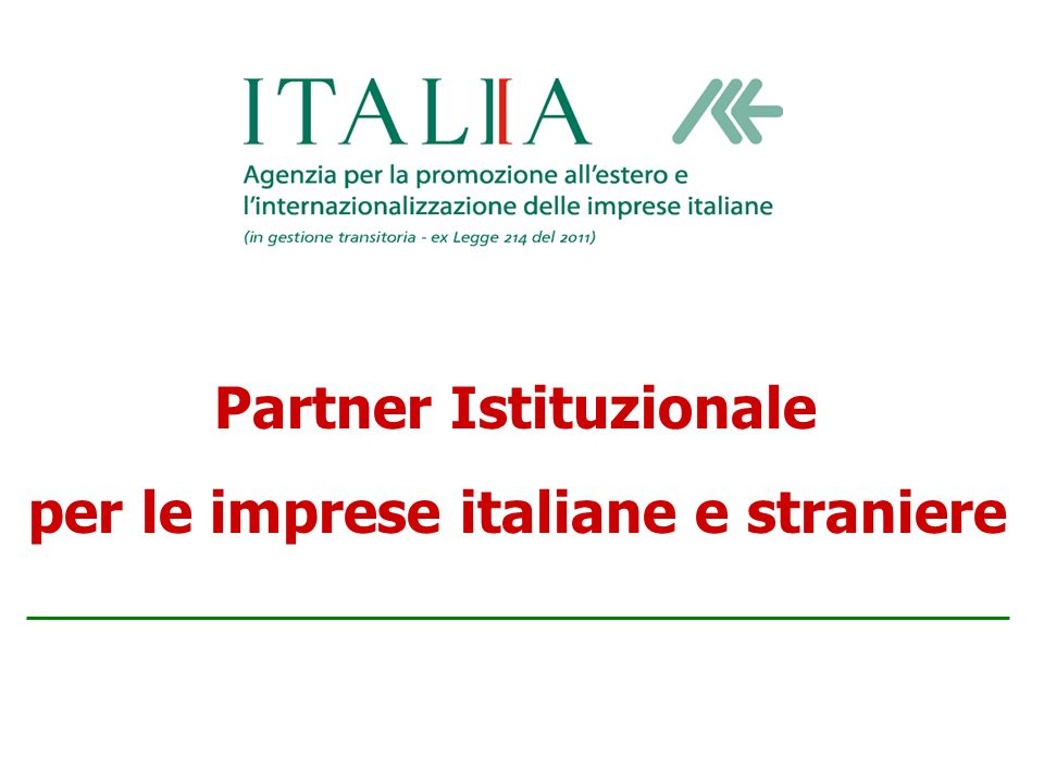 Partner Istituzionale per le imprese italiane e straniere