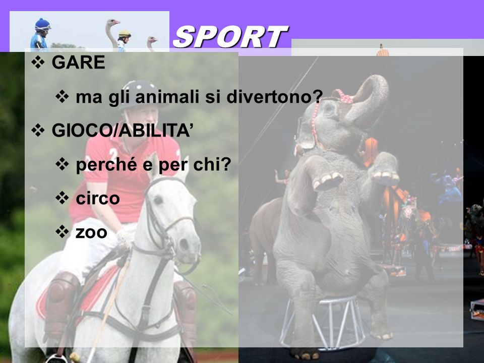 17 gennaio 2013 SPORT GARE ma gli animali si divertono GIOCO/ABILITA perché e per chi circo zoo