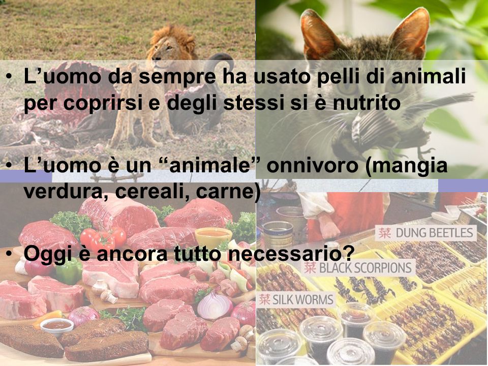 17 gennaio 2013 CIBO & VESTITO Luomo da sempre ha usato pelli di animali per coprirsi e degli stessi si è nutrito Luomo è un animale onnivoro (mangia verdura, cereali, carne) Oggi è ancora tutto necessario