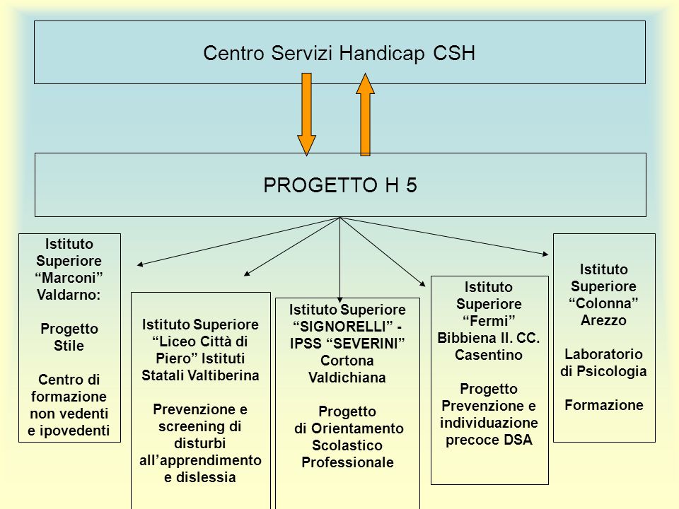Centro Servizi Handicap CSH PROGETTO H 5 Istituto Superiore Fermi Bibbiena II.
