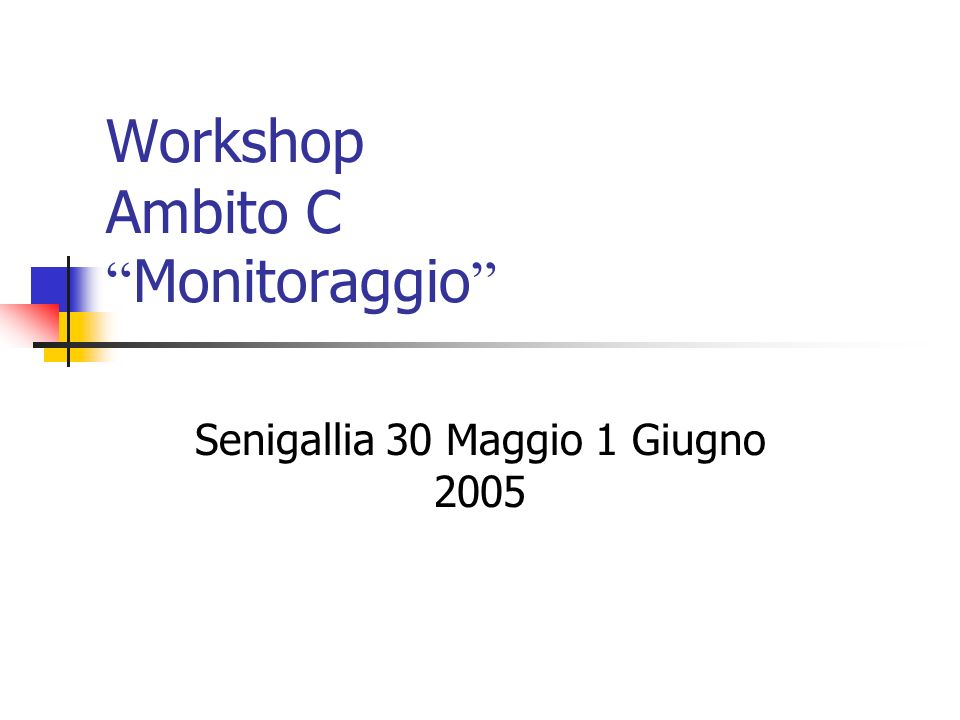 Workshop Ambito C Monitoraggio Senigallia 30 Maggio 1 Giugno 2005