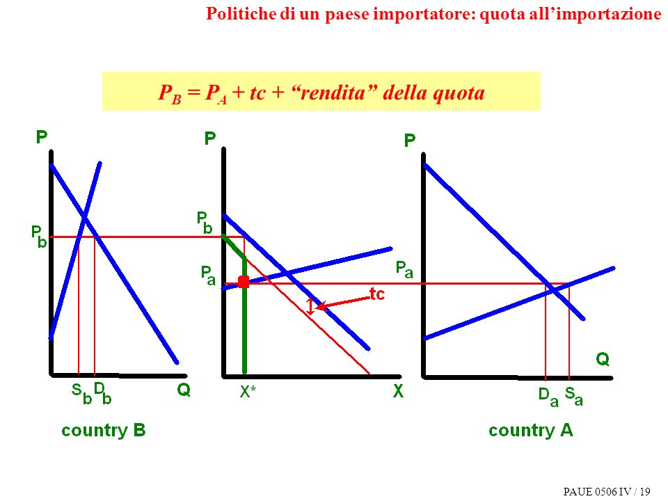 PAUE 0506 IV / 19 P B = P A + tc + rendita della quota Politiche di un paese importatore: quota allimportazione