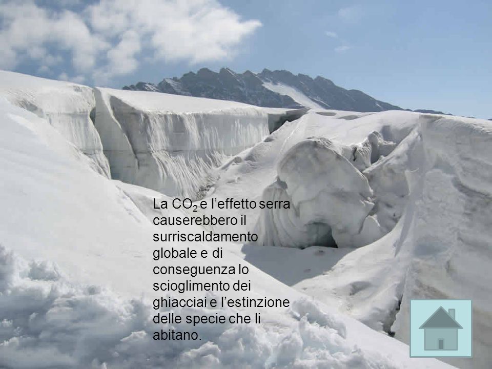 La CO 2 e leffetto serra causerebbero il surriscaldamento globale e di conseguenza lo scioglimento dei ghiacciai e lestinzione delle specie che li abitano.