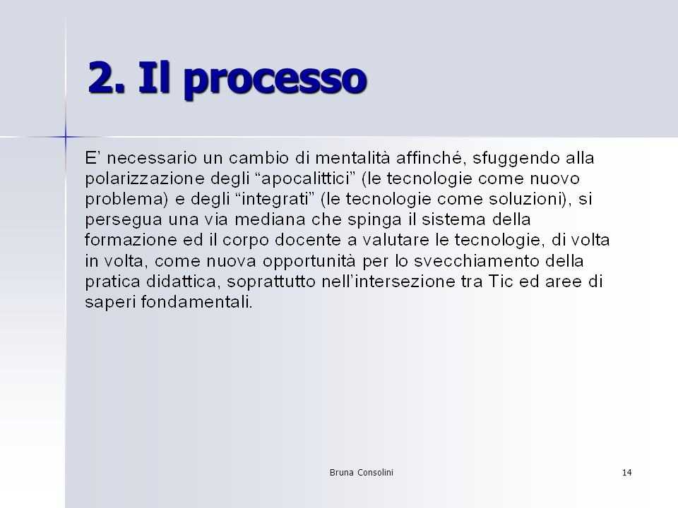 Bruna Consolini14 2. Il processo