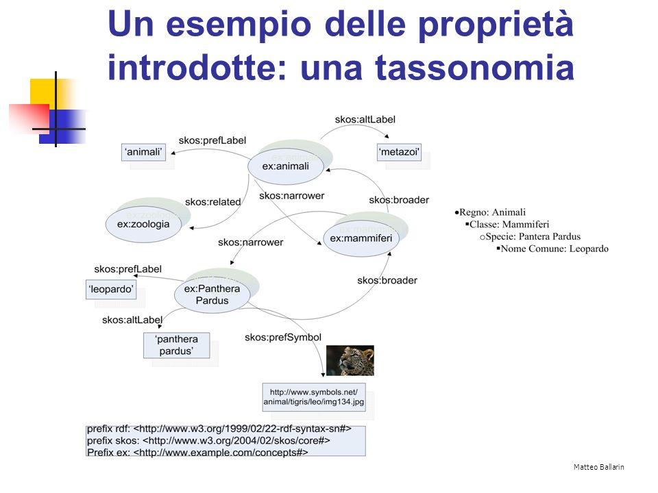 Un esempio delle proprietà introdotte: una tassonomia Matteo Ballarin