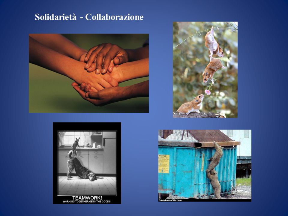 Solidarietà - Collaborazione