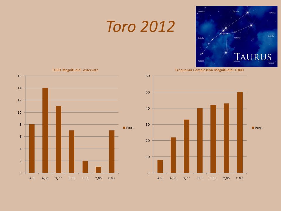 Toro 2012