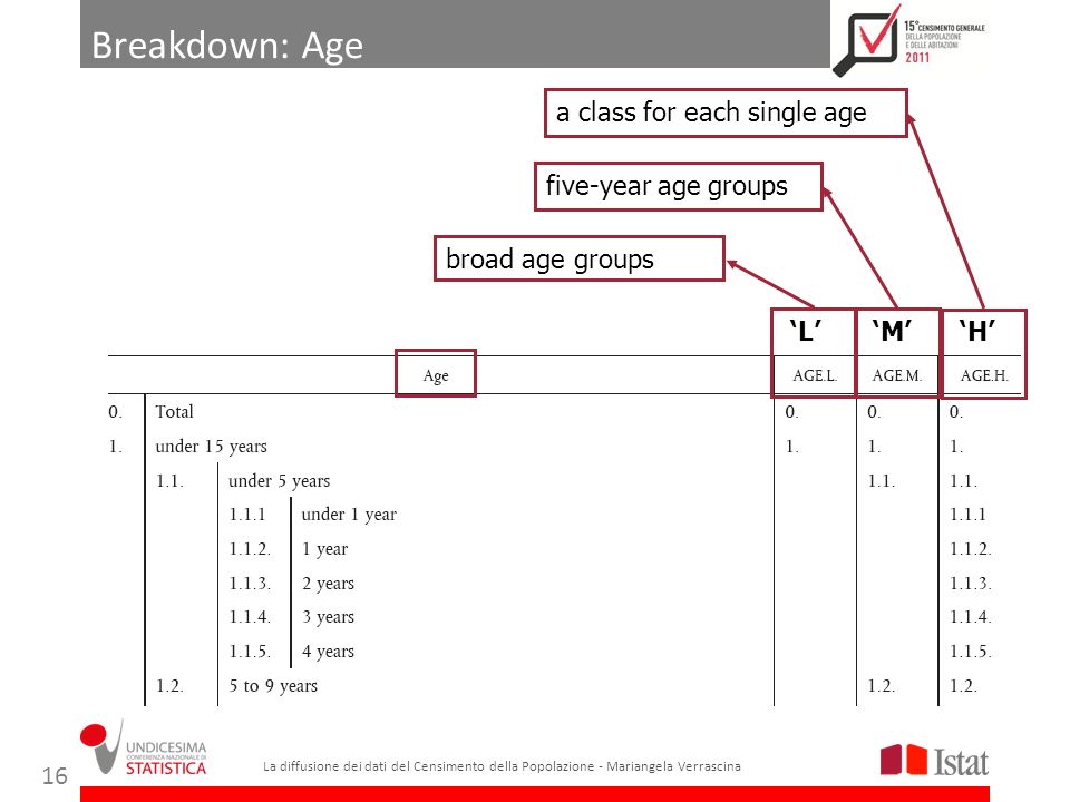Breakdown: Age H a class for each single age M five-year age groups L broad age groups La diffusione dei dati del Censimento della Popolazione - Mariangela Verrascina 16