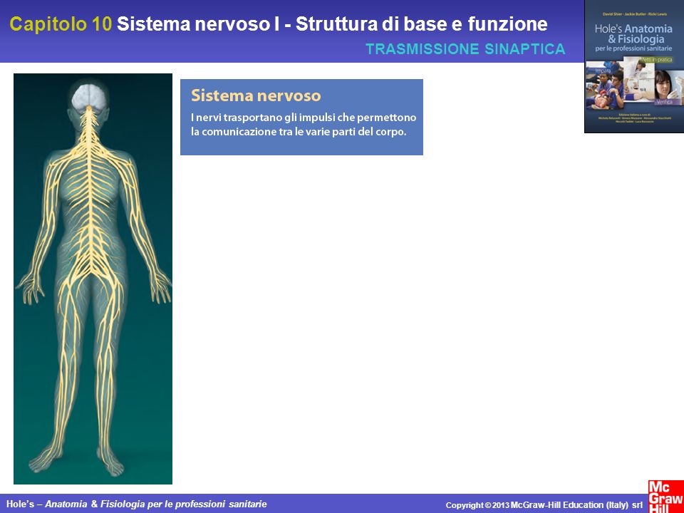 Capitolo 10 Sistema nervoso I - Struttura di base e funzione Holes – Anatomia & Fisiologia per le professioni sanitarie Copyright © 2013 McGraw-Hill Education (Italy) srl TRASMISSIONE SINAPTICA