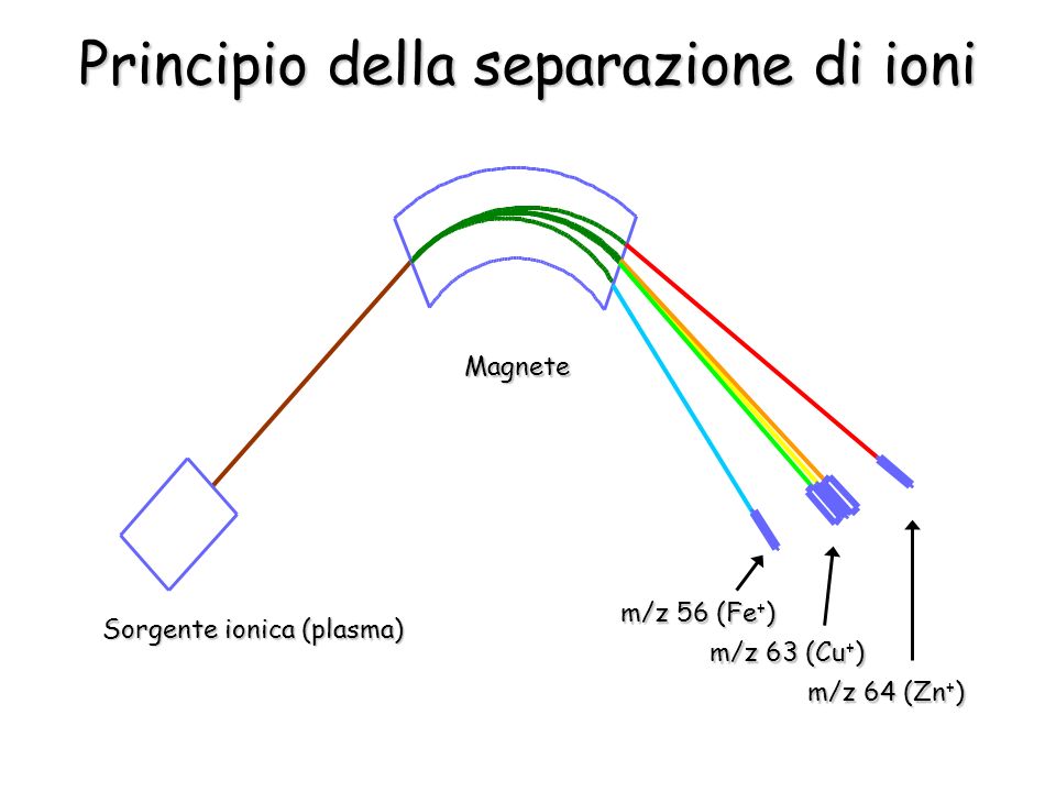 Principio della separazione di ioni Sorgente ionica (plasma) Magnete m/z 56 (Fe + ) m/z 63 (Cu + ) m/z 64 (Zn + )
