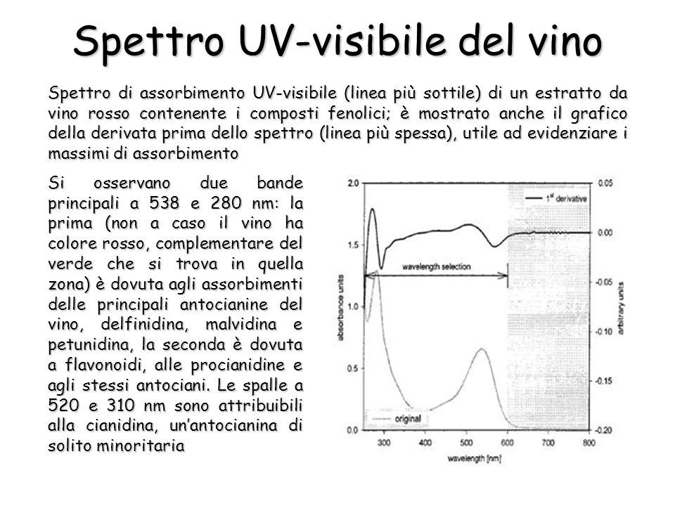 Spettro UV-visibile del vino Spettro di assorbimento UV-visibile (linea più sottile) di un estratto da vino rosso contenente i composti fenolici; è mostrato anche il grafico della derivata prima dello spettro (linea più spessa), utile ad evidenziare i massimi di assorbimento Si osservano due bande principali a 538 e 280 nm: la prima (non a caso il vino ha colore rosso, complementare del verde che si trova in quella zona) è dovuta agli assorbimenti delle principali antocianine del vino, delfinidina, malvidina e petunidina, la seconda è dovuta a flavonoidi, alle procianidine e agli stessi antociani.