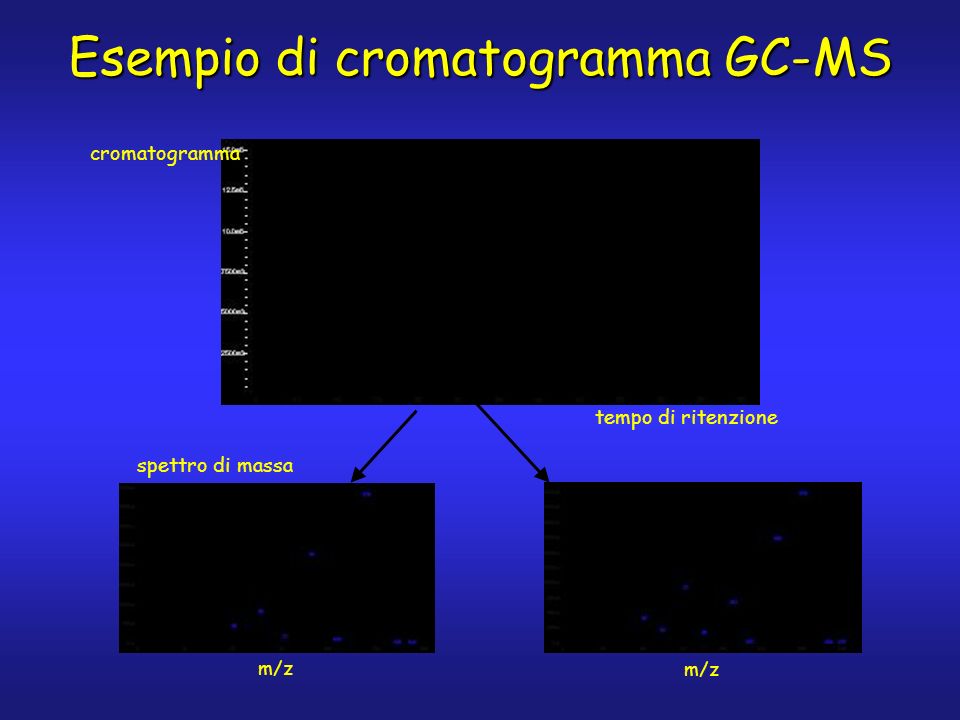 cromatogramma tempo di ritenzione spettro di massa m/z Esempio di cromatogramma GC-MS m/z
