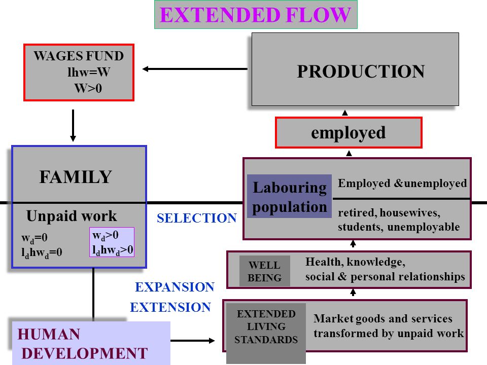 TRADITIONAL COOPERATIVE FLOW FAMILIES FIRMS