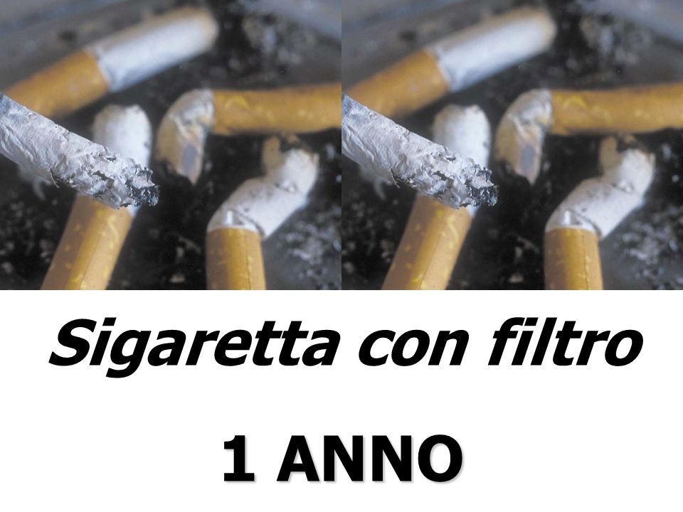 Sigaretta con filtro 1 ANNO