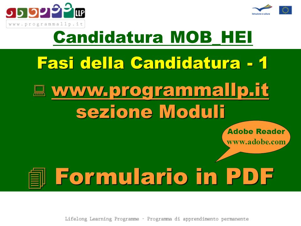 Candidatura MOB_HEI   sezione Moduli Formulario in PDF Adobe Reader   Fasi della Candidatura - 1