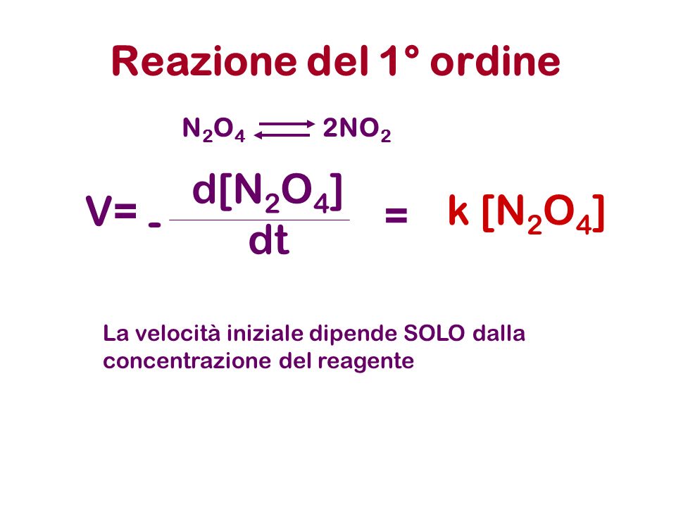 Reazione del 1° ordine N2O4N2O4 2NO 2 La velocità iniziale dipende SOLO dalla concentrazione del reagente V= d[N 2 O 4 ] dt - = [N 2 O 4 ]k